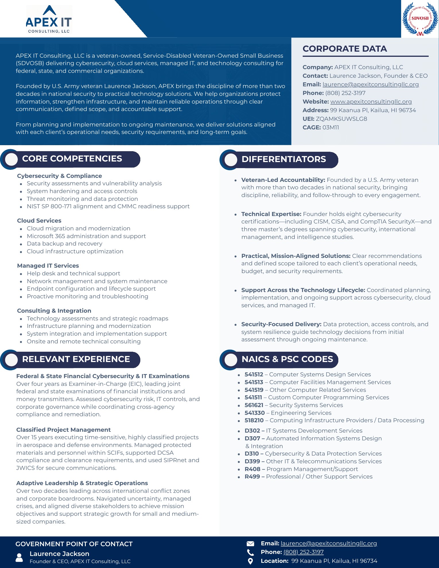 APEX IT Consulting capability statement